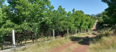 thumbnail-img-20250217-wa0013-67d04840db2f5.webp