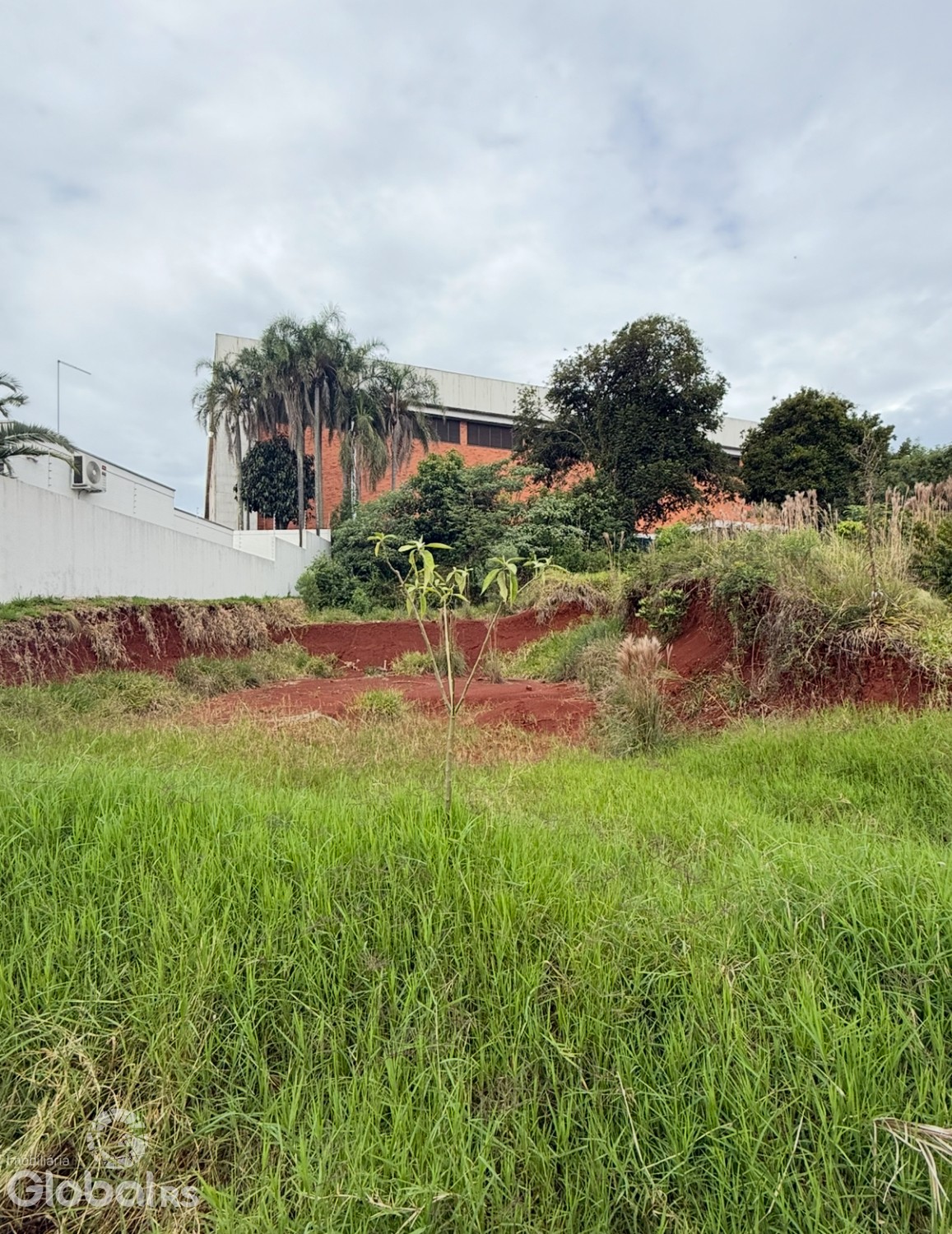 Terreno
