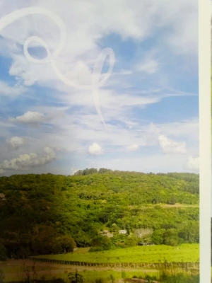thumbnail-2795991-foto-1649697179-6a9339be17885.webp