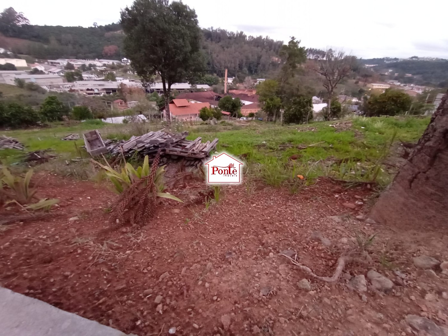 thumbnail-whatsapp-image-2023-07-28-at-11-35-17-1-64c402c926b4f.wepb