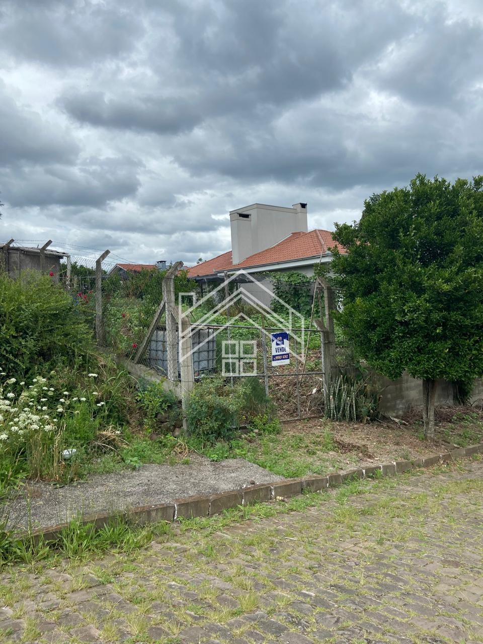 thumbnail--6a16f3006f2cf.webp