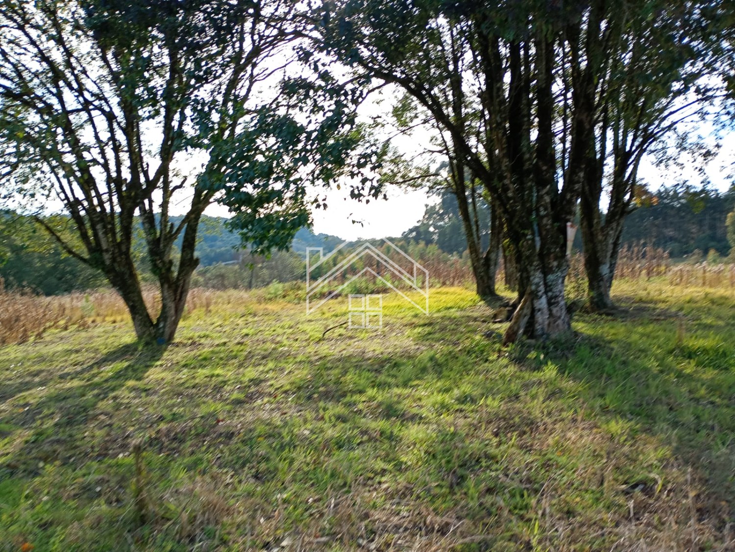thumbnail--6a4eb3536c452.webp