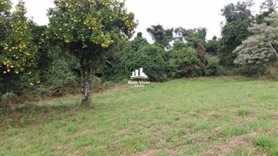 thumbnail-amp_2648039_1jpg-1.webp