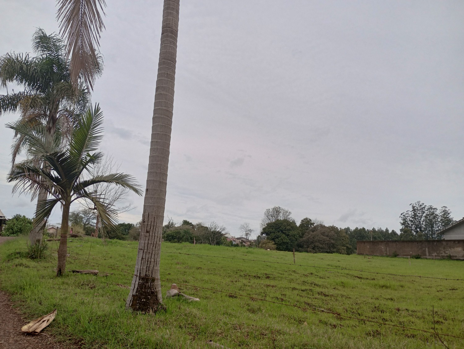 thumbnail--68b08f72706cd.webp