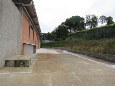 -690225ea68665.webp