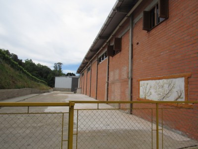 -69022677d4591.webp