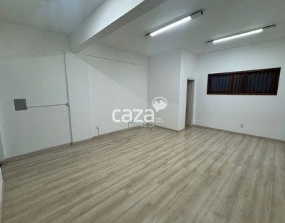 thumbnail--687a7a14c60d0.webp
