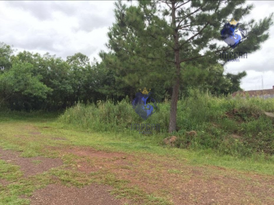 thumbnail-1gmpbxg9nnb7ghinid8mj8ksrkyittyzjmxwsijs-655d0ae3d1729.wepb