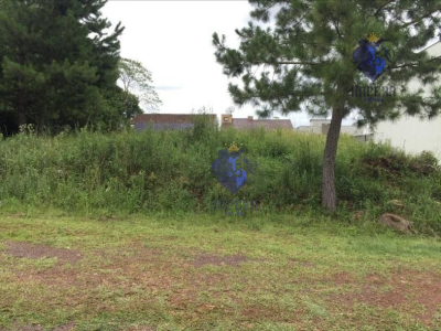 thumbnail-vjqktxpe79eesoo4v29wgmownqqxbp9uypkeyioy-655d0ae186465.wepb