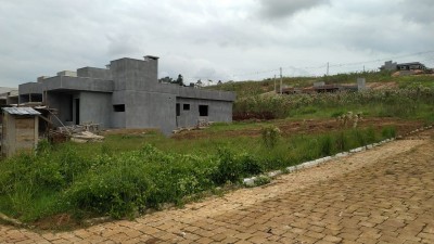 thumbnail--67eaab7a81e63.webp