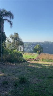 mp_1777116580.jpg