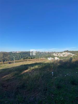 mp_1777116604.jpg