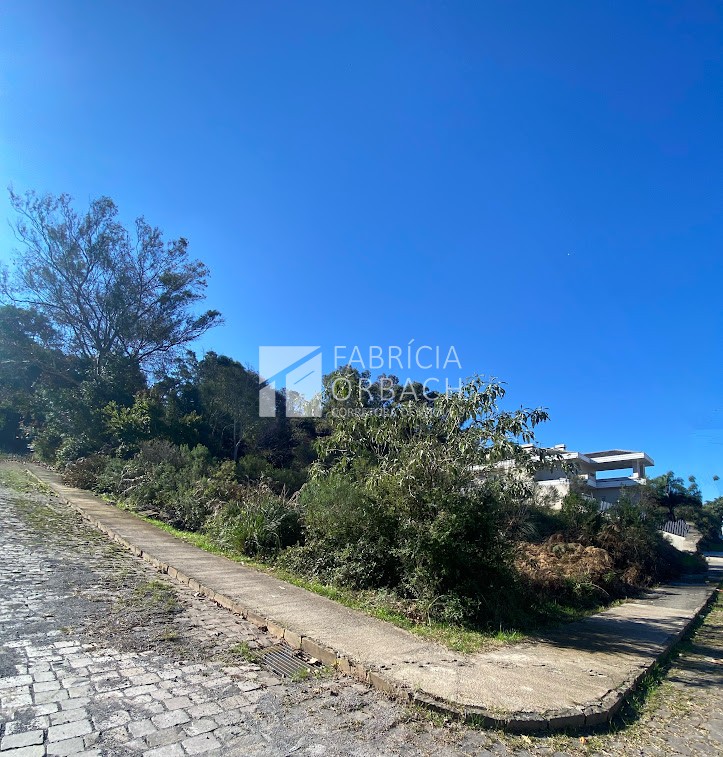 thumbnail--686c1e2d073af.webp
