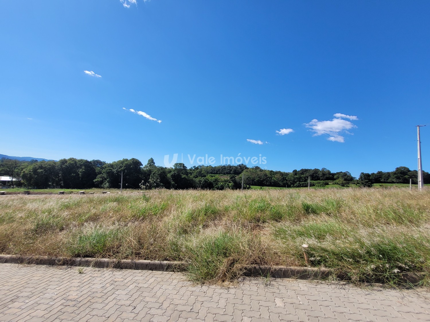 thumbnail--67ec22898e966.webp