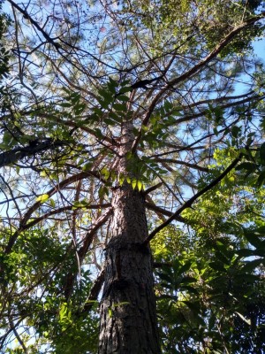 thumbnail--6852f658a6773.webp
