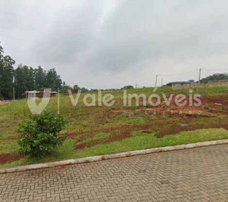 thumbnail--68e66d13998fd.webp