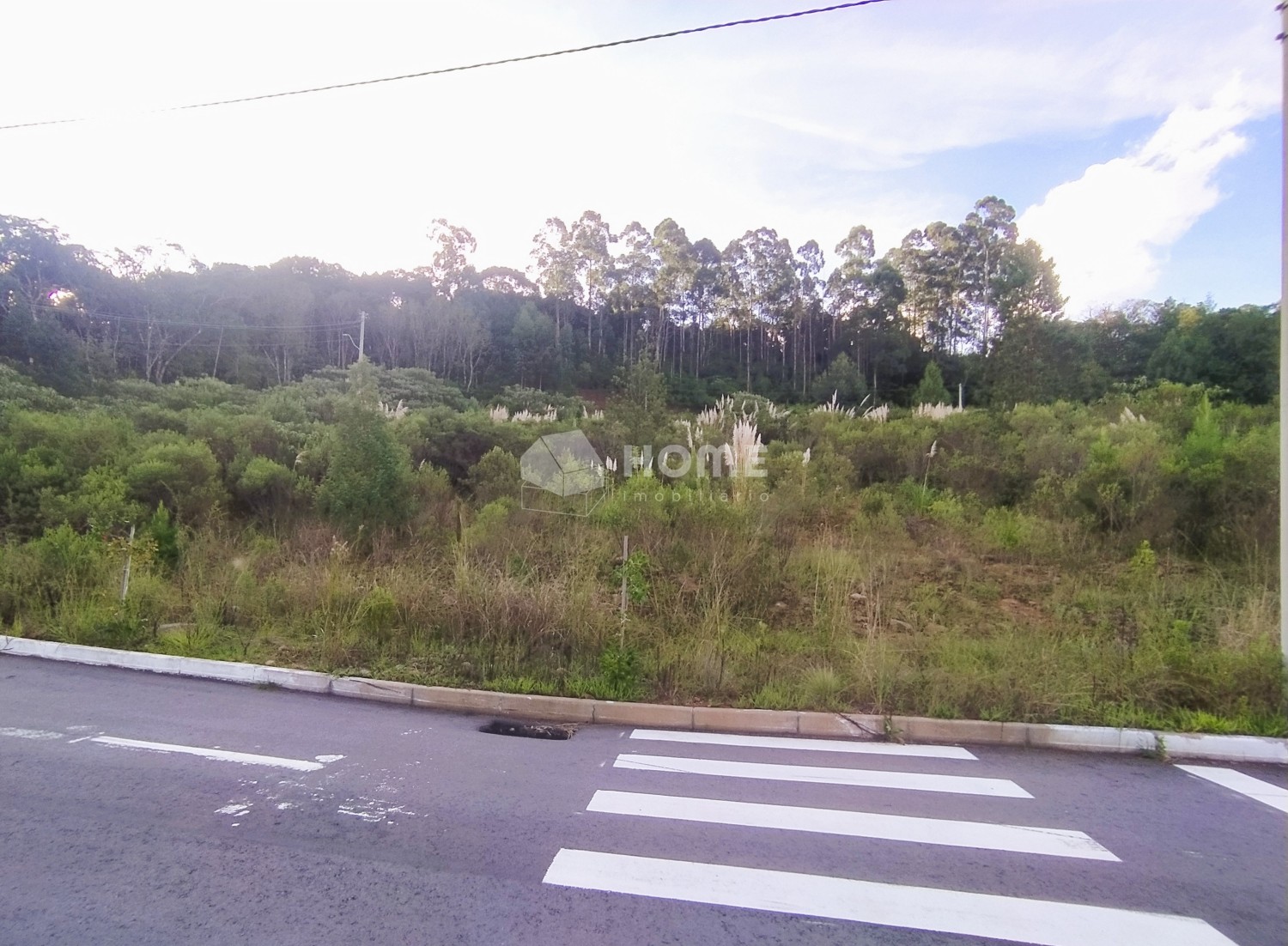 thumbnail-img-20240318-172230-660c5d7593b3d.webp