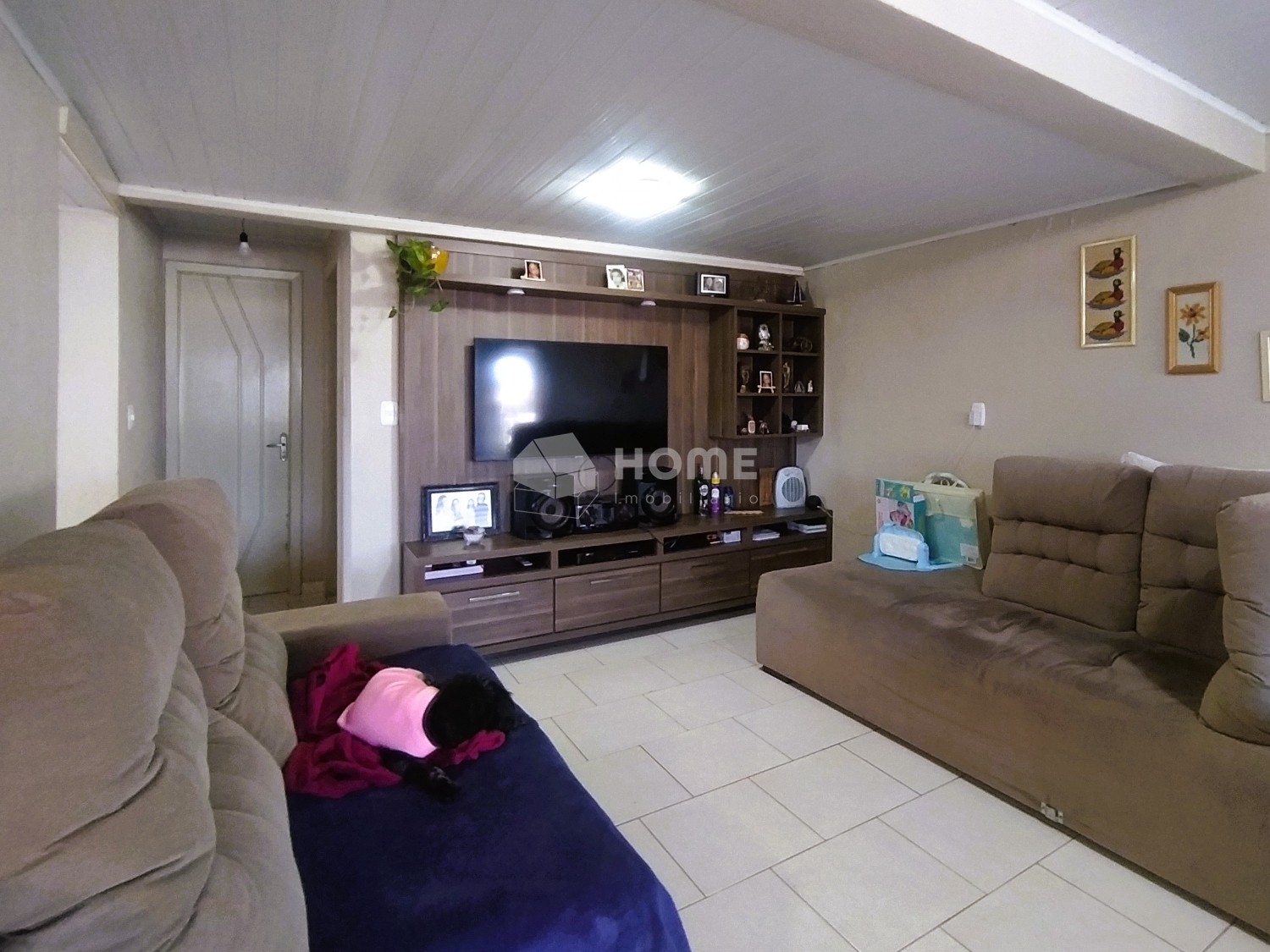 thumbnail--686445fe0576c.webp