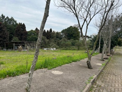 thumbnail--68adf7720f3bb.webp