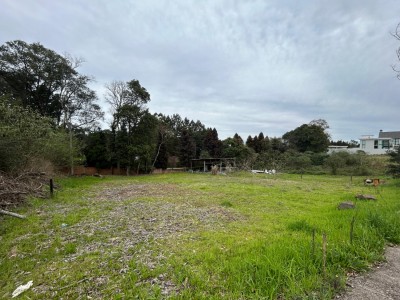 thumbnail--68adf79176d19.webp