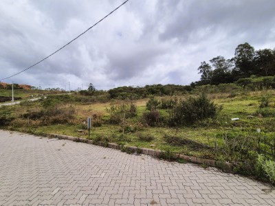 -6a29b1a64c598.webp