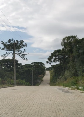 thumbnail-2836513-foto-1691752451-6a7d97dde8301.webp