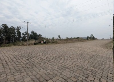 thumbnail--68b74d5659477.webp