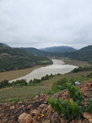 thumbnail--687282f8986a5.webp